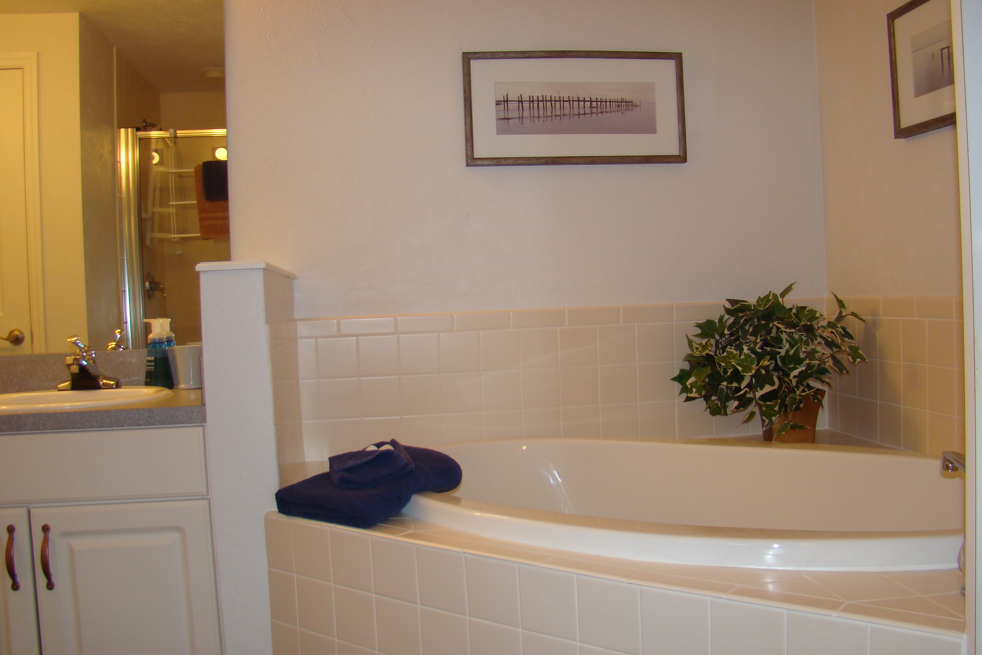 Tub View - Florida Vacation Rentals - Horseshoe Beach Real Estate - Tammy Bryan